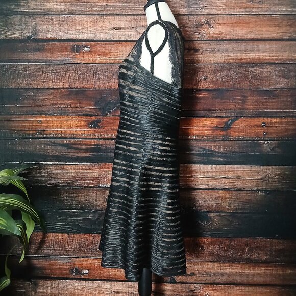 Gianni Bini Dress 10 Black Lace Striped Fit & Flare Lined - Picture 7 of 10